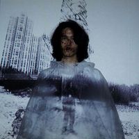 Mave - Dust