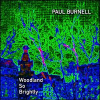Paul Burnell - Woodland So Brightly