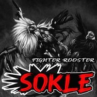 SOKLE - Fighter Rooster