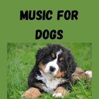 Music For Dogs Peace, Music For Dogs, Calm Pets Music Academy, Relaxing Puppy Music - Music For Dogs (Vol.180)