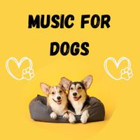Music For Dogs Peace, Music For Dogs, Calm Pets Music Academy, Relaxing Puppy Music - Music For Dogs (Vol.178)