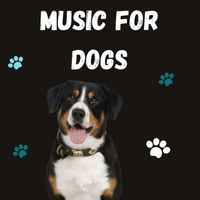 Music For Dogs Peace, Music For Dogs, Calm Pets Music Academy, Relaxing Puppy Music - Music For Dogs (Vol.177)