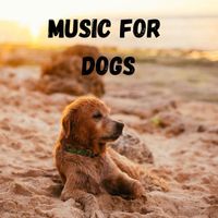Music For Dogs, Music For Dogs Peace, Relaxing Puppy Music, Calm Pets Music Academy - Music For Dogs (Vol.175)