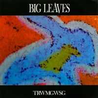 big leaves - Trwmgwsg