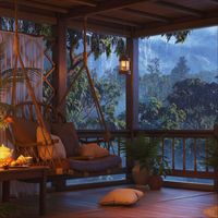 New Bliss - Rain in the Forest Porch Ambience for Relaxation