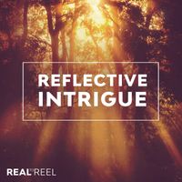 David Disher - Reflective Intrigue