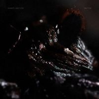 Hannes Kretzer - Matter