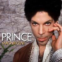 Prince - Magnificent