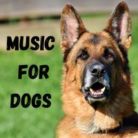 Music For Dogs, Music For Dogs Peace - Music For Dogs (Vol.198)