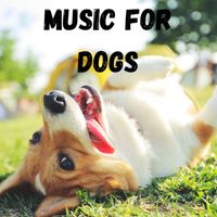 Music For Dogs, Music For Dogs Peace, Calm Pets Music Academy, Relaxing Puppy Music - Music For Dogs (Vol.200)