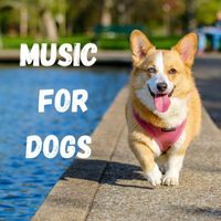 Calm Pets Music Academy, Relaxing Puppy Music, Music For Dogs Peace, Music For Dogs - Music For Dogs (Vol.196)