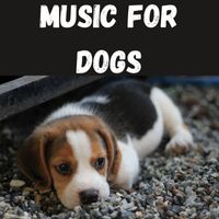 Music For Dogs, Music For Dogs Peace, Calm Pets Music Academy, Relaxing Puppy Music - Music For Dogs (Vol.197)