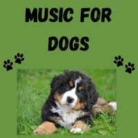 Music For Dogs, Music For Dogs Peace, Calm Pets Music Academy - Music For Dogs (Vol.192)