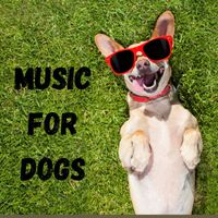 Music For Dogs, Music For Dogs Peace, Calm Pets Music Academy, Relaxing Puppy Music - Music For Dogs (Vol.190)