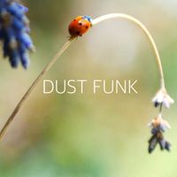 Dust funk - Lady Bird