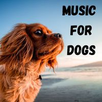 Music For Dogs, Music For Dogs Peace, Calm Pets Music Academy, Relaxing Puppy Music - Music For Dogs (Vol.201)
