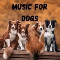 Music For Dogs, Music For Dogs Peace, Calm Pets Music Academy, Relaxing Puppy Music - Music For Dogs (Vol.203)