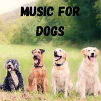 Music For Dogs, Music For Dogs Peace, Calm Pets Music Academy, Relaxing Puppy Music - Music For Dogs (Vol.205)