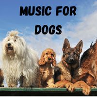 Music For Dogs Peace, Music For Dogs, Calm Pets Music Academy, Relaxing Puppy Music - Music For Dogs (Vol.206)