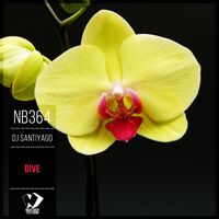 Dj SantiyaGO - Dive