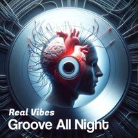 Real Vibes - Groove All Night (instrumental)