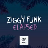 Ziggy Funk - Elapsed