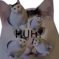 K!NDLY - HUH?