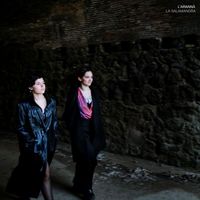 L’arannà - La salamandra