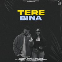 Garry Sandhu - Tere Bina