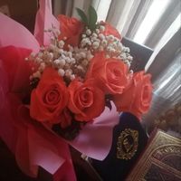 Habibi H - Ma mère Oumi