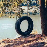 The Stories - Aerial Gum (The Tenth Anniversary)