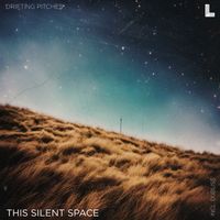 Drifting Pitches - This Silent Space (Dubliss Remix)