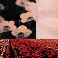 United Nations - Harvest Season