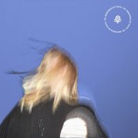 The Manatees - Innocence of Youth