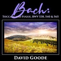 David Goode - Bach: Toccata and Fugue, Bwv 538, 540 & 565