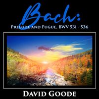 David Goode - Bach: Prelude and Fugue, Bwv 531 - 536