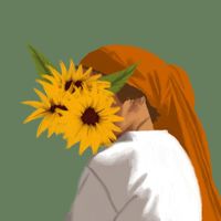 Domenico - Solaire