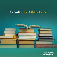 Estudio Hermoso - Estudio de Biblioteca