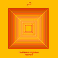 David Bay & Digitalism - heatwave