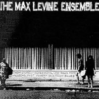 The Max Levine Ensemble - Them Steadily Depressing, Low Down Mind Messing, Post Modern Recession Blues