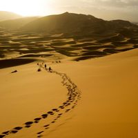 Otto Graz - Talking to the Desert