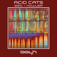 Acid Cats - 22G / Howler