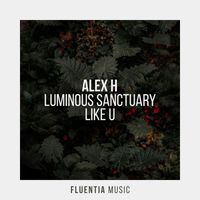 Alex H - Luminous Sanctuary / Like U