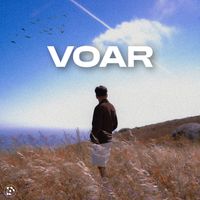 Codie - VOAR
