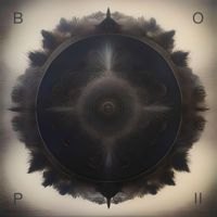Capa - Birds Of Passage II