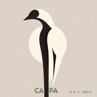Capa - Bird Of Passage, Pt. 8
