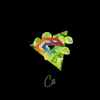Cß - Risk