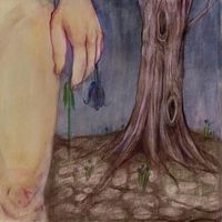 Dim - semilla