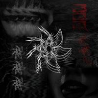 DATURA - Entanglements