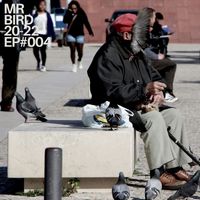 Mr Bird - Bird Beats 20-22 004 - EP